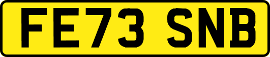 FE73SNB
