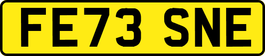 FE73SNE