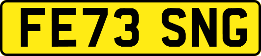 FE73SNG