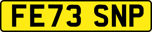 FE73SNP