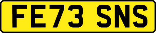 FE73SNS
