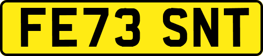 FE73SNT