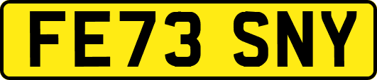 FE73SNY