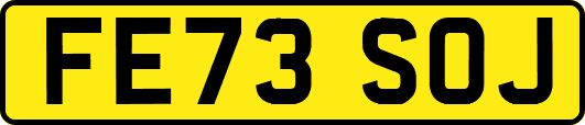 FE73SOJ