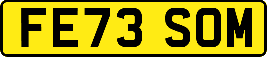 FE73SOM