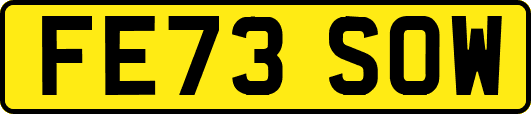 FE73SOW