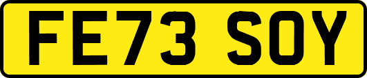 FE73SOY