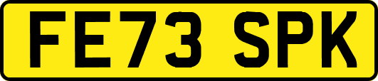 FE73SPK
