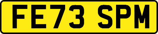 FE73SPM