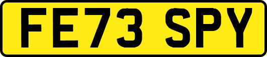 FE73SPY