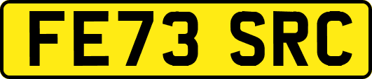FE73SRC
