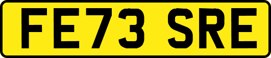 FE73SRE
