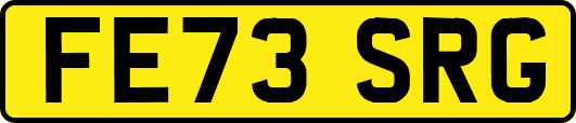 FE73SRG