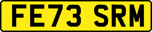 FE73SRM