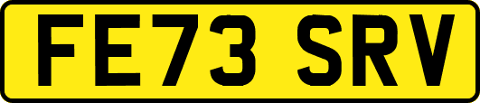 FE73SRV