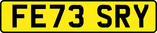 FE73SRY