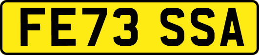 FE73SSA