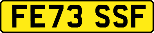 FE73SSF