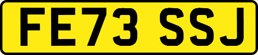 FE73SSJ