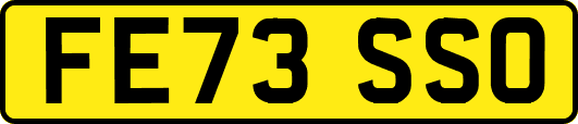 FE73SSO