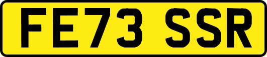 FE73SSR
