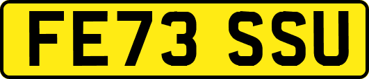 FE73SSU