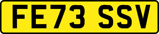 FE73SSV