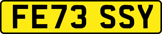 FE73SSY