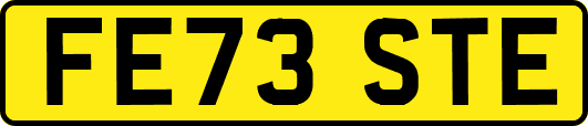 FE73STE