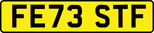 FE73STF