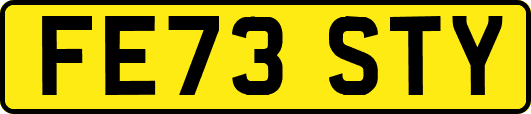 FE73STY