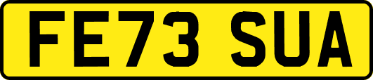 FE73SUA