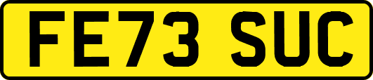 FE73SUC