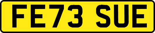 FE73SUE