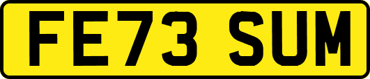 FE73SUM