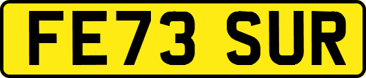 FE73SUR