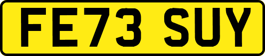 FE73SUY