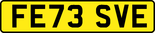 FE73SVE
