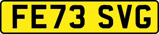 FE73SVG
