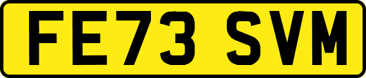 FE73SVM