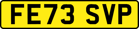 FE73SVP