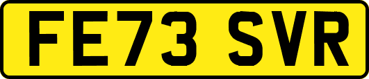 FE73SVR