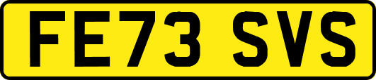 FE73SVS