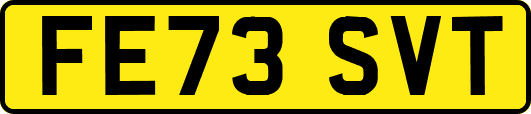 FE73SVT
