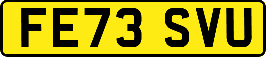 FE73SVU