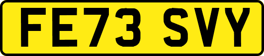 FE73SVY