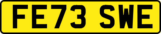 FE73SWE