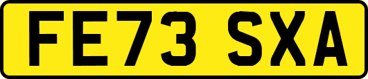 FE73SXA