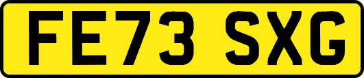 FE73SXG