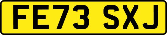 FE73SXJ